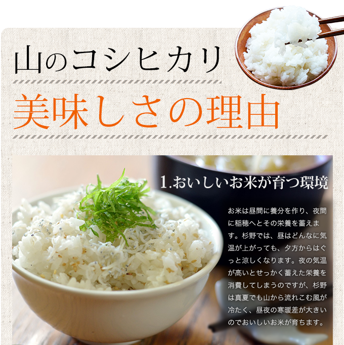 おいしいお米が育つ環境