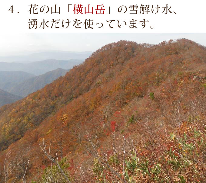 横山岳の湧水