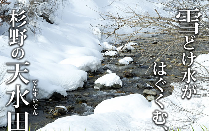 雪どけ水が育む杉野の天水田