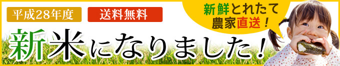 新米になりました