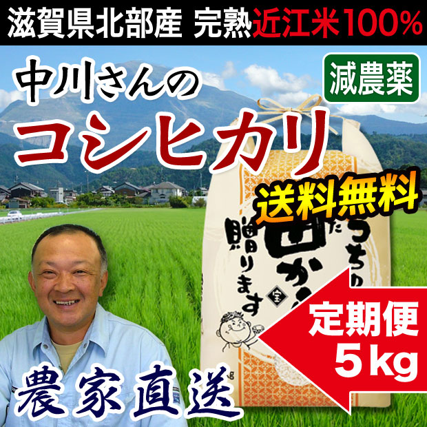 近江米コシヒカリ