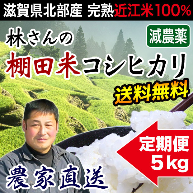 棚田米コシヒカリ